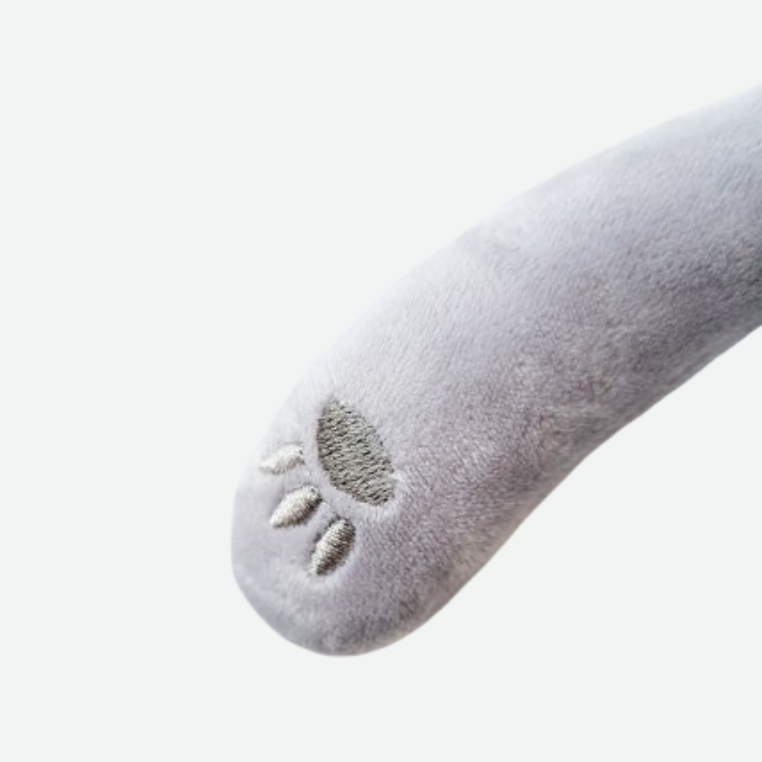 Teddy Wax TÉORÉ